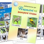 Дидактична гра Перелітні та зимуючі птахи
