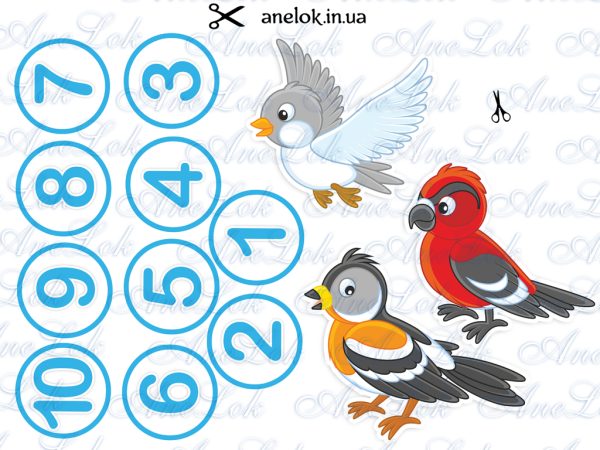 математичні ігри зимові птахи зимуючі анелок