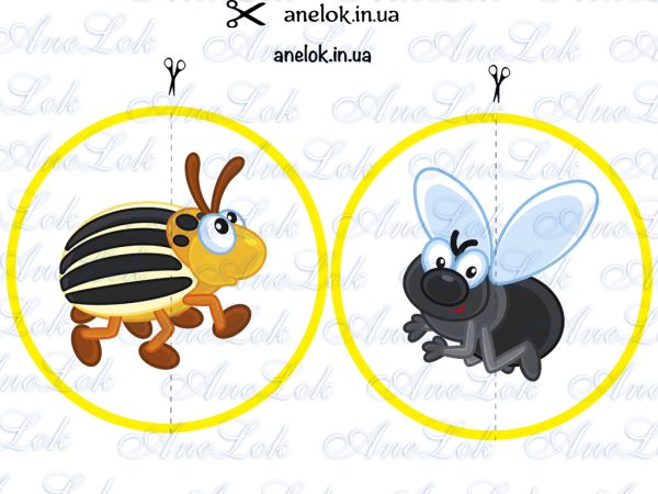 дидактичні ігри про комахи для дітей