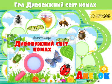 дивовижний світ комах для дошкільнят