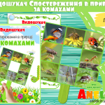 видошукач для дітей комахи