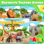 демонстраційний матеріал купити