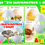 Хто вилуплюється з яйця