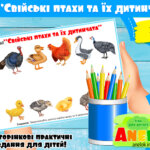 Гра Свійські птахи та їх дитинчата