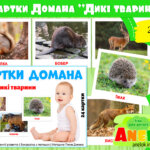 Картки Домана Дикі тварини