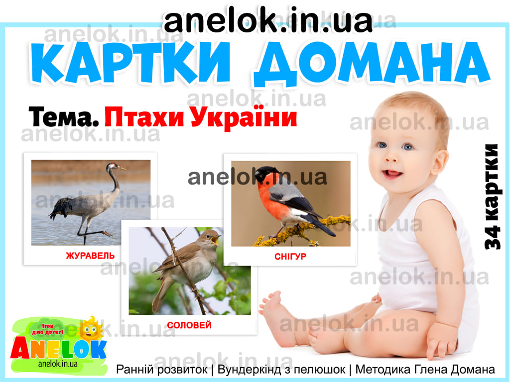 Картки Домана Птахи України