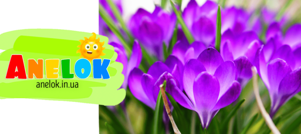 Загадки про весняні квіти для дітей